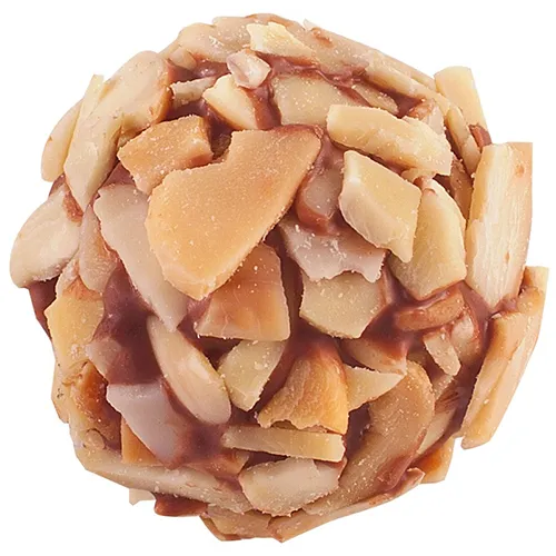 Almond Truffle Praline